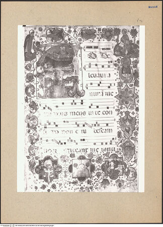 Vorderseite von bh195588_recto