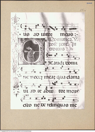 Vorderseite von bh195590_recto