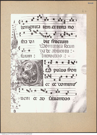 Vorderseite von bh195594_recto