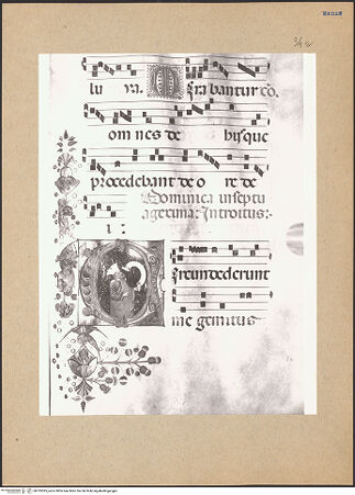 Vorderseite von bh195595_recto