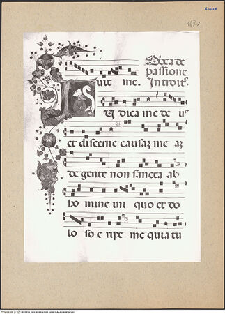 Vorderseite von bh195596_recto