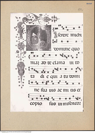 Vorderseite von bh195597_recto