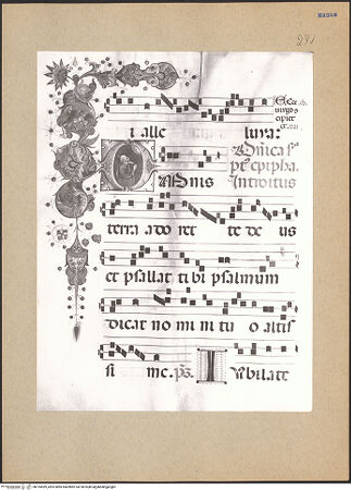 Vorderseite von bh195599_recto