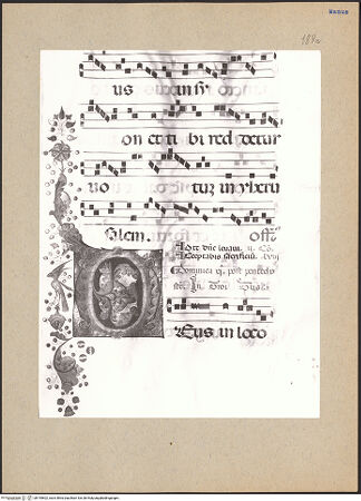 Vorderseite von bh195602_recto