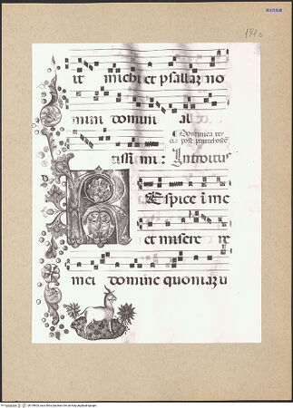 Vorderseite von bh195603_recto