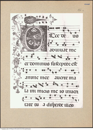 Vorderseite von bh195604_recto