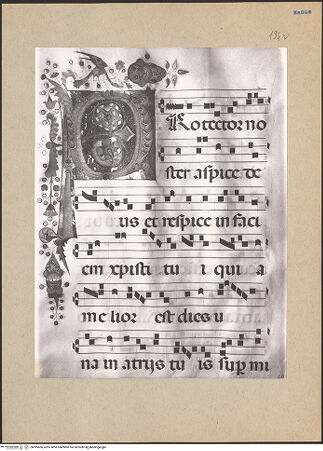 Vorderseite von bh195606_recto