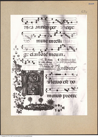 Vorderseite von bh195607_recto