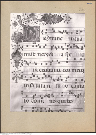 Vorderseite von bh195608_recto