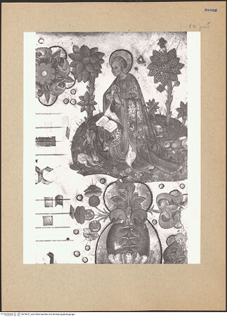 Vorderseite von bh195611_recto