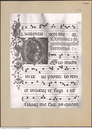 Vorderseite von bh195613_recto