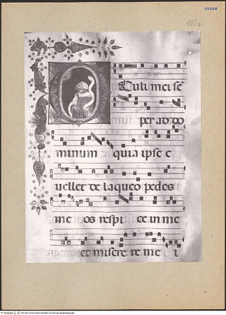 Vorderseite von bh195614_recto