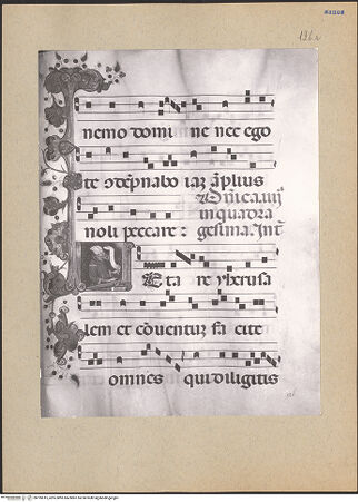 Vorderseite von bh195615_recto