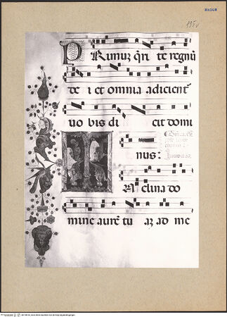 Vorderseite von bh195616_recto