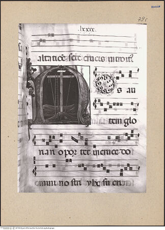 Vorderseite von bh195624_recto