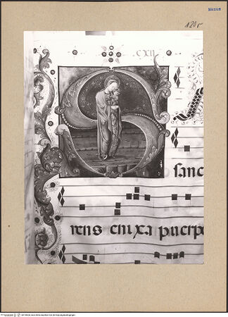 Vorderseite von bh195626_recto