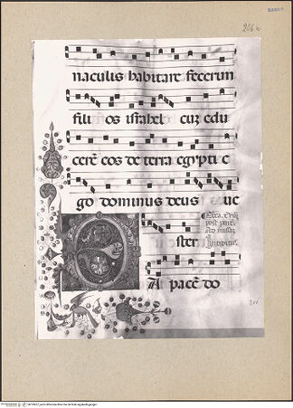 Vorderseite von bh195627_recto