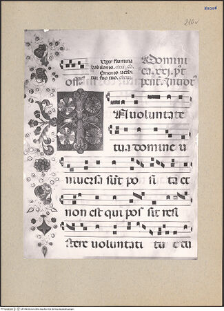 Vorderseite von bh195628_recto