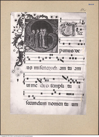 Vorderseite von bh195631_recto