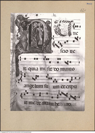 Vorderseite von bh195636_recto