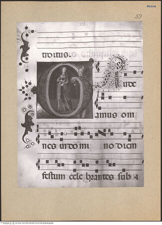 Vorderseite von bh195647_recto