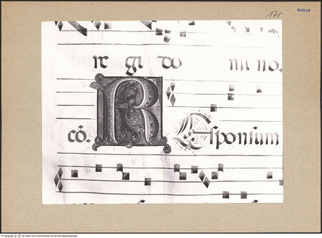 Vorderseite von bh195649_recto