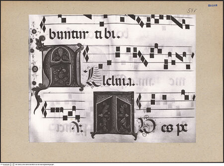 Vorderseite von bh195655_recto