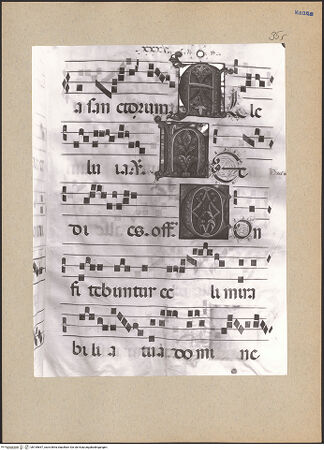 Vorderseite von bh195657_recto