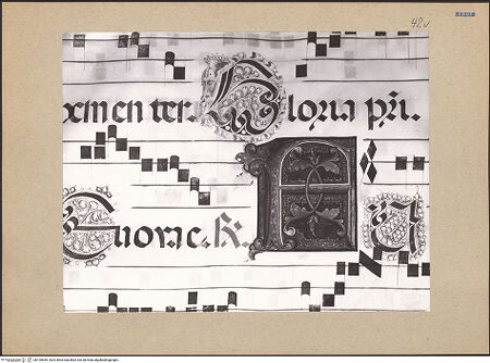 Vorderseite von bh195659_recto