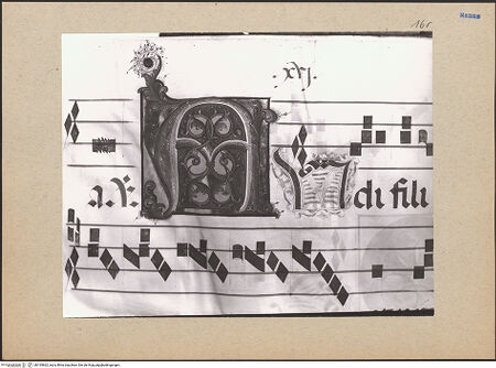 Vorderseite von bh195662_recto