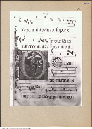 Vorderseite von bh195663_recto