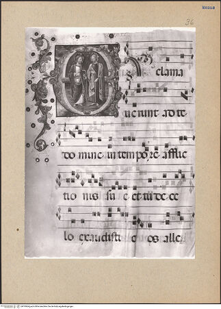 Vorderseite von bh195664_recto