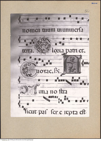 Vorderseite von bh195666_recto