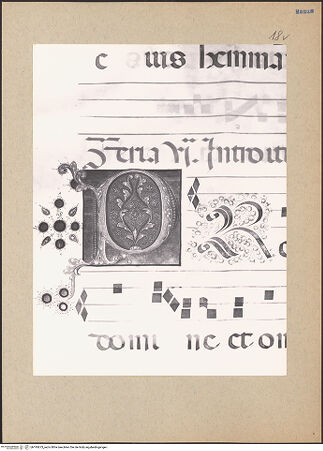 Vorderseite von bh195673_recto