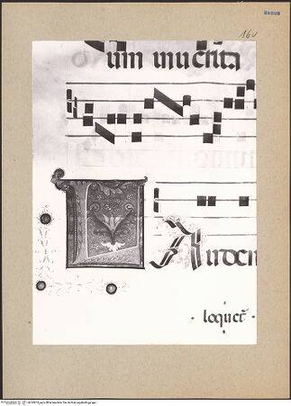 Vorderseite von bh195674_recto