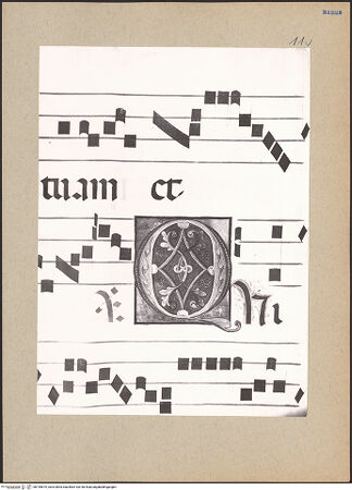 Vorderseite von bh195675_recto