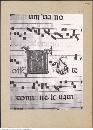 Vorderseite von bh195676_recto