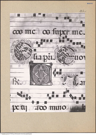 Vorderseite von bh195679_recto