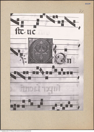 Vorderseite von bh195680_recto