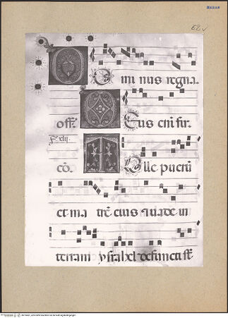 Vorderseite von bh195681_recto