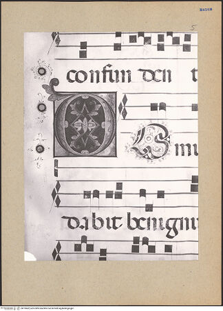 Vorderseite von bh195682_recto