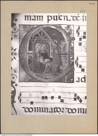 Vorderseite von bh195685_recto