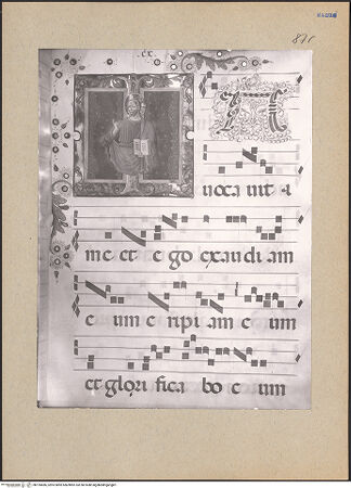 Vorderseite von bh195686_recto