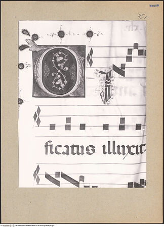 Vorderseite von bh195697_recto