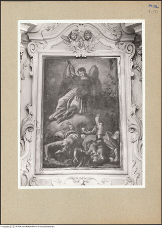 Vorderseite von bh195781_recto