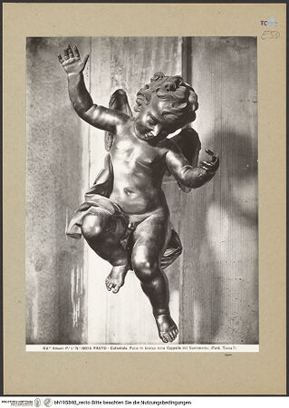 Vorderseite von bh195840_recto