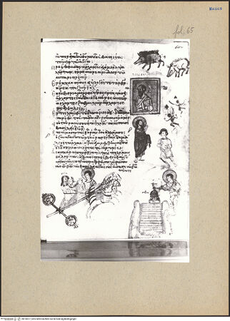 Vorderseite von bh195977_recto