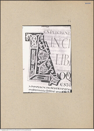 Vorderseite von bh196213_recto