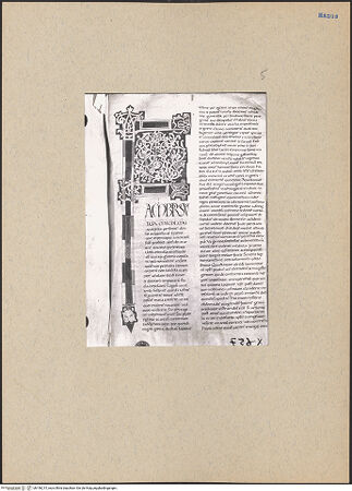 Vorderseite von bh196215_recto