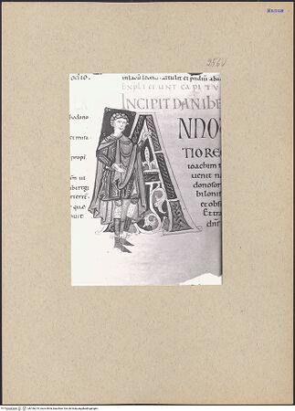 Vorderseite von bh196219_recto